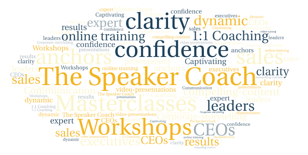 The Speaker Coach one to one coaching
